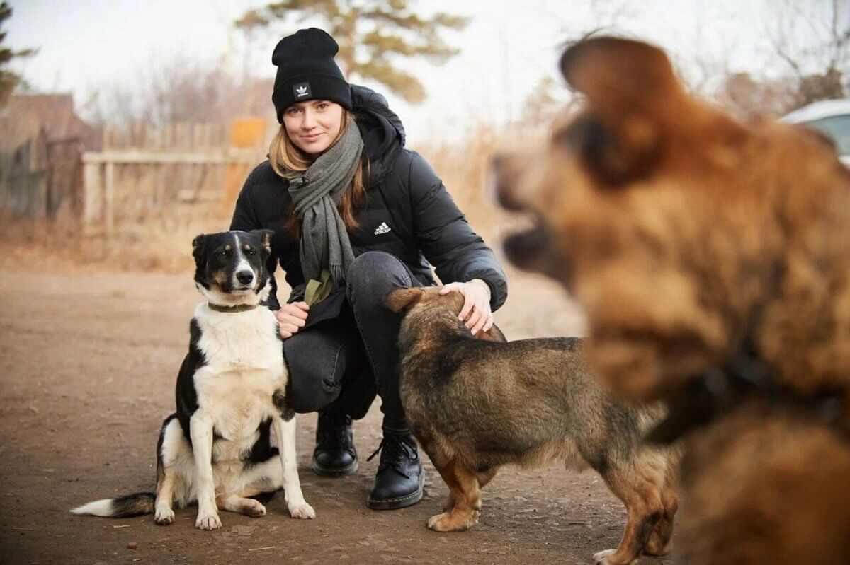 Елена Рыбакина бұралқы иттерге қайырымдылық көрсетті