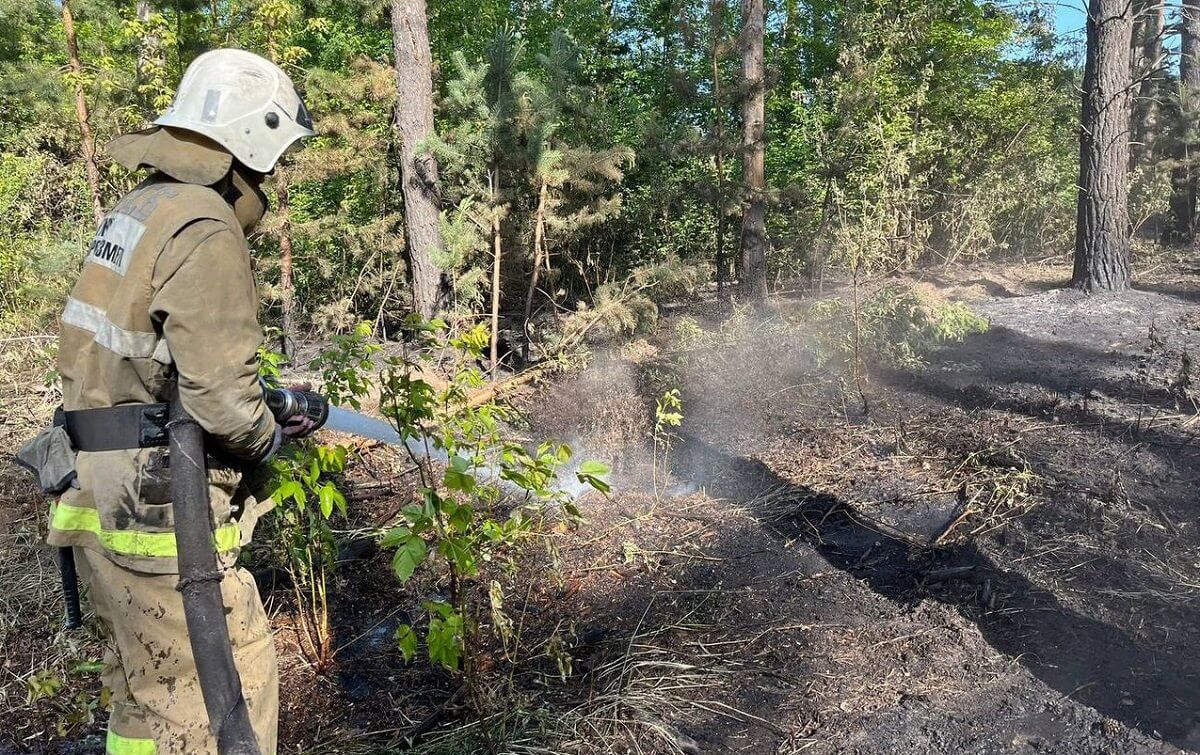 Семей орманындағы өрттің қашан толық сөндірілетіні белгілі болды