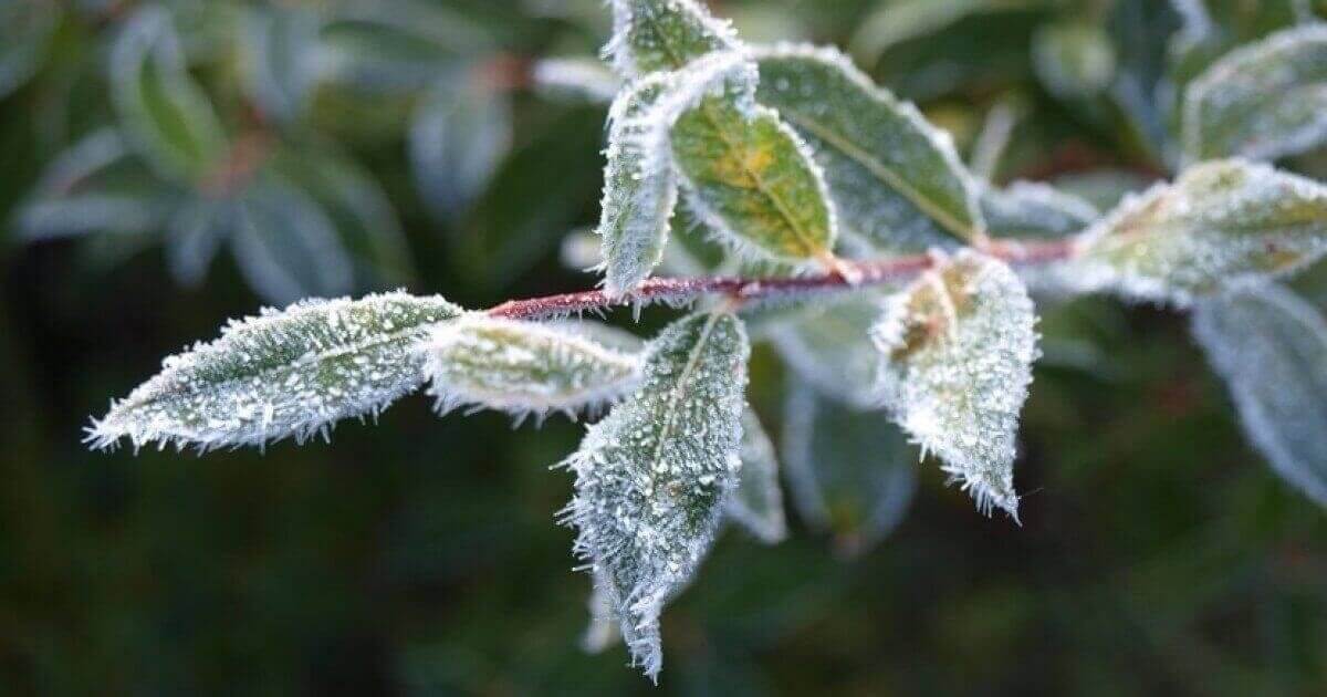 «-3°C үсік жүреді»: 6 қазанға ауа райы болжамы жарияланды