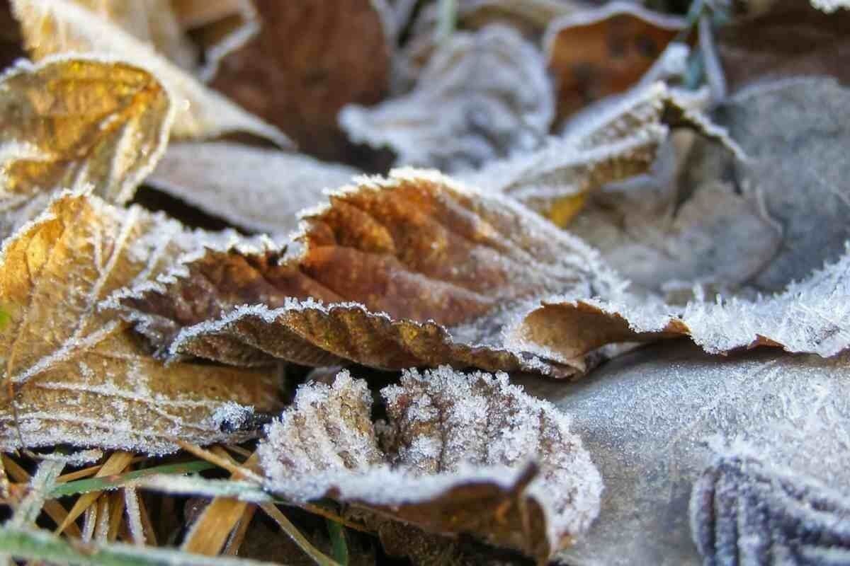 «Жаңбыр,қар, көктайғақ»: 1 қарашаға ауа райы болжамы жарияланды