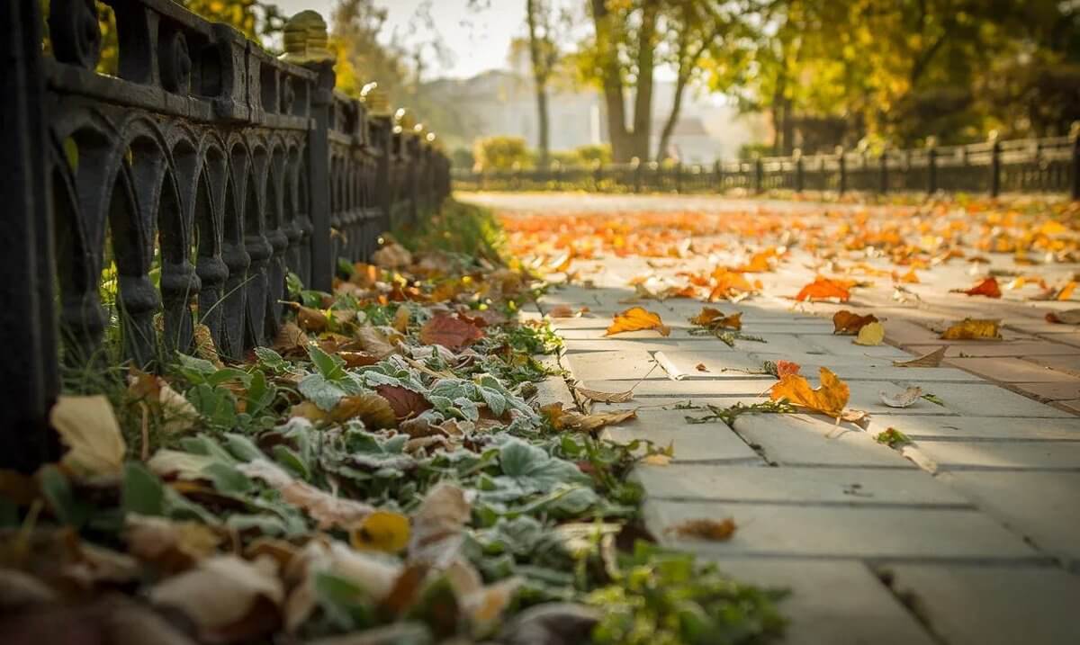 Алдағы үш күнге ауа райы болжамы жарияланды