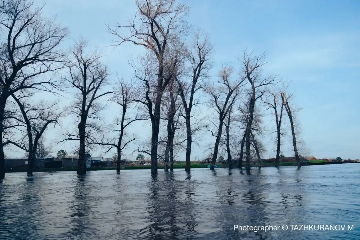 6 өңірде көлік қозғалысына шектеу енгізілді