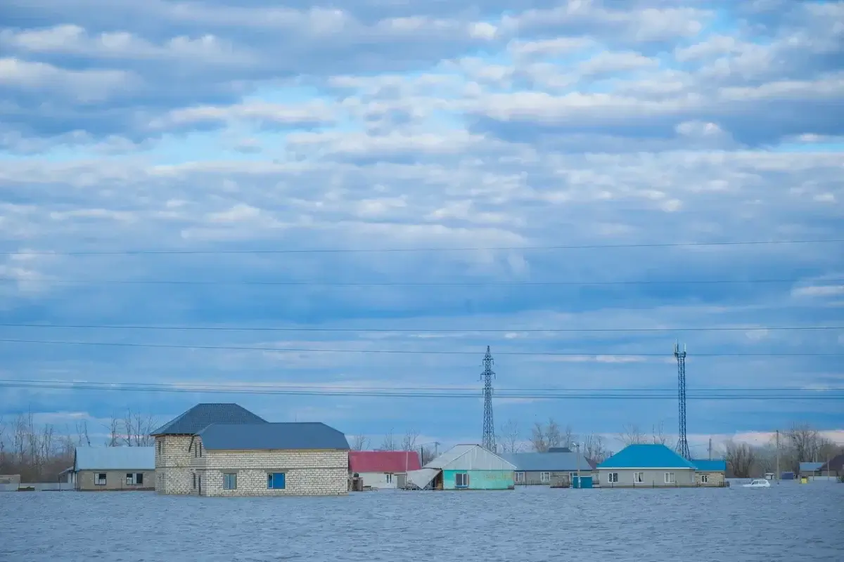 Елімізде су тасқынынан қанша адам көз жұмды - ІІМ жауабы