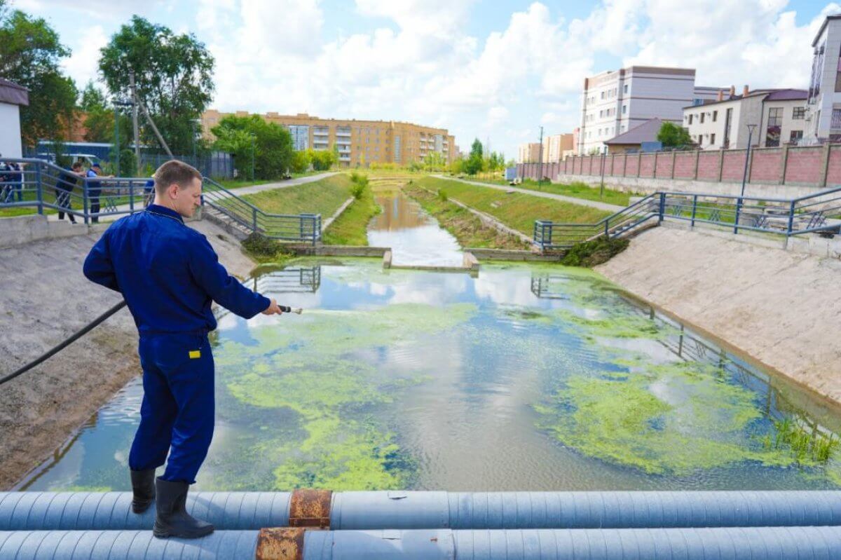 Балдыр мен сасық иіс: мамандар Астанадағы өзенді құтқаруға кірісті