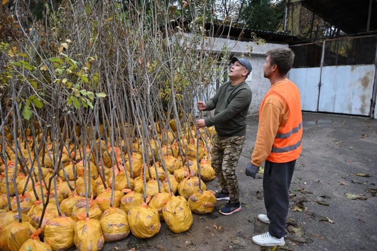 Алматыда «Таза Қазақстан» акциясы жалғасып жатыр