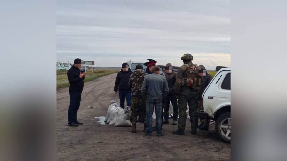 Cолтүстік Қазақстанда шаян аулағандар сотталды