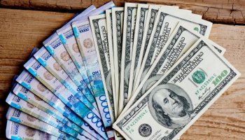 «Доллар дүрбелең басылған соң арзандады» - Ұлттық экономика министрі