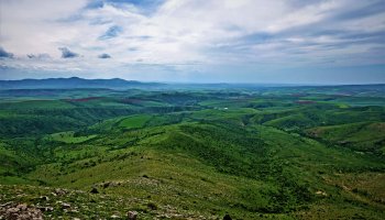 ШҚО-да аудан әкімі 80 гектар жерді заңсыз иеленіп, шошқа фермасын салмақ болған