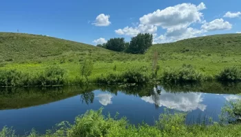 Жамбыл облысында бір ЖШС-ға берілген 60 мың га жер мемлекетке қайтарылды