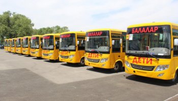 Оқушыларды қауіпсіз тасымалдау үшін 515 жаңа автобус сатып алынады – министрлік