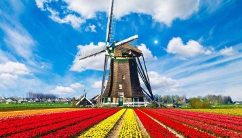 Нидерланды Қазақстанға 400 млн доллар инвестиция салады