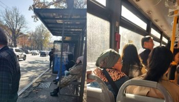 Алматы әкімі аялдамада автобусты жарты сағат күтіп қалған