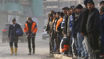 Түркістан облысында 182 адам шетелдіктерге заңсыз жұмыс істеткен