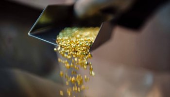Жамбыл облысында ер адамнан 116 келі алтын шикізаты тәркіленді (ВИДЕО)