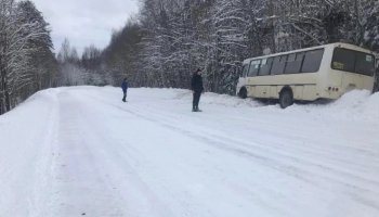 Павлодар облысында 12 автобус жолда тұрып қалды