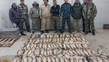Түркістандық полицейлер заңсыз ауланған 160 келі балықты тәркіледі (ВИДЕО)