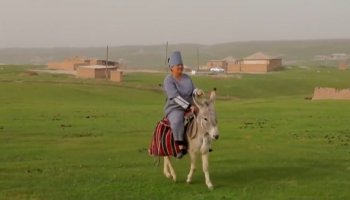 Өзбекстанда науқастарға есекпен баратын медбике орденмен марапатталды