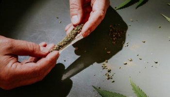 Жамбыл облысында марихуана сатқан адам ұсталды