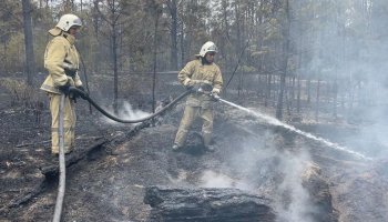 Абай облысындағы орман өрті бойынша қылмыстық іс қозғалды