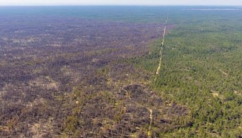 ДСМ орман өртінен тараған түтін кімдерге қауіпті екенін ескертті