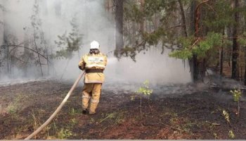 Өрт кезінде еңбек қауіпсіздігін бұзудың себептері анықталады – министрлік