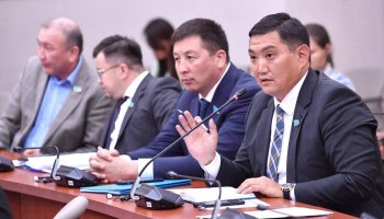 Жерді мемлекетке қайтару: депутат Назарбаев әулеті инспекторларға қысым жасап жатқанын мәлімдеді