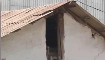 Түркістан облысында 5 жасар қыздың мәйітін тапқан ауыл тұрғыны оқиғаның мән-жайын айтты