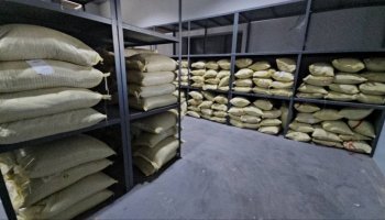 Өзбекстанда ұшақтан 8,5 тонна есірткі тәркіленді