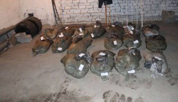 Павлодар облысында жүргізушіден 500 келіден аса балық тәркіленді