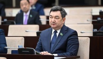 Сенатор қазақстандық әйелдердің жұмыста харассментке жиі ұшырайтынын айтты