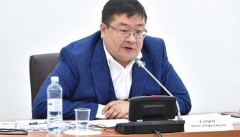 Болат Назарбаевтың қызына тиесілі компания міндетін толық атқармай отыр – депутат