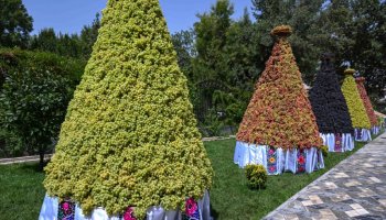 Өзбекстандық ірі компания еліміздегі жүзім шаруашылығын дамытуға атсалысады