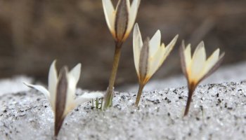 6 наурызға ауа райы болжамы жарияланды