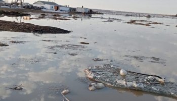 Павлодар облысында да бір ауылдың 15 үйі су астында қалды