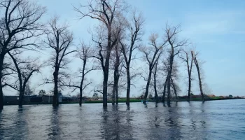 Келесі аптаның басында ШҚО-ның су қоймаларында тасқын болуы мүмкін