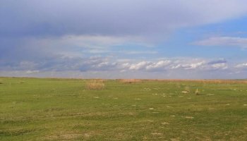 Павлодар облысында құны 2,1 млрд теңге болатын жер мемлекетке қайтарылды