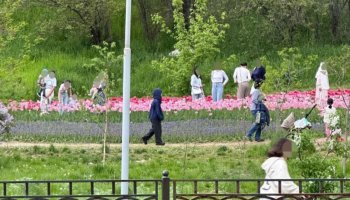 Алматы гүлзарында селфи жасағандарға 370 мың теңгеге дейін айыппұл салынады