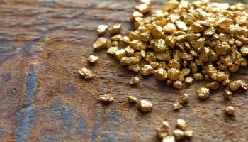 Ақмола облысында қылмыстық топ алтын кенін иемденіп алған