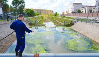 Балдыр мен сасық иіс: мамандар Астанадағы өзенді құтқаруға кірісті