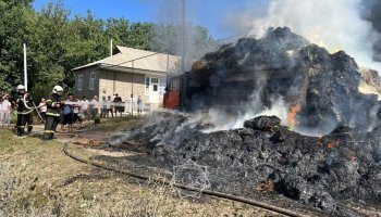 Түркістан облысында шөп тиелген көлік жанып кетті