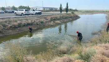 Атырауда балық қырылды: құтқару жұмыстары қалай жүріп жатыр