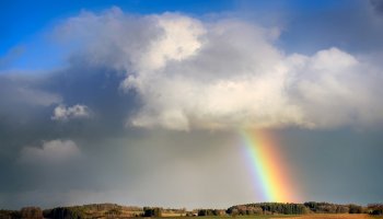 Жаңбыр, найзағай: 19 тамызда барлық өңірде дауылды ескерту жарияланды