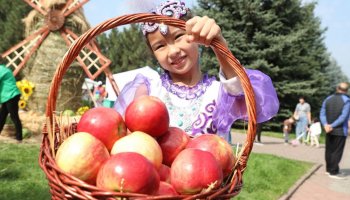 130 тонна алма және Шапито циркі: Алматыда Apple Fest-2024 қалай өтеді