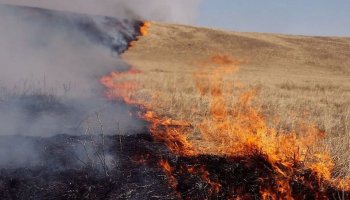 Қоянды ауылынан басталған өрт салдарынан төрт адамды күйік шалды