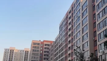 Алаяқ психикалық ауруға шалдыққан әйелдің пәтерін сатып жіберген