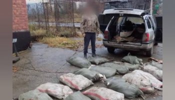 ШҚО тұрғыны 200 келіден астам балықты заңсыз тасымалдаған